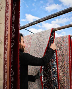 خشک کردن قالی در قالیشویی شهر نور