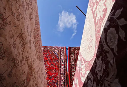 معرفی بهترین مراکز قالیشویی در شهر نور